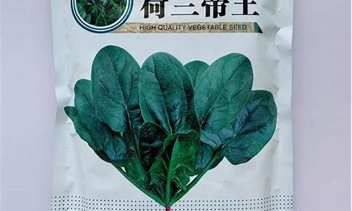 菠菜网地址：菠菜公司排名(菠菜公司排名第一)