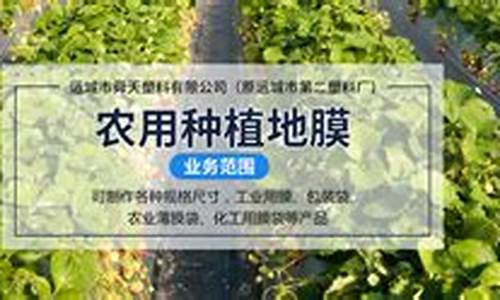 专业菠菜导航官网(2020菠菜导航)